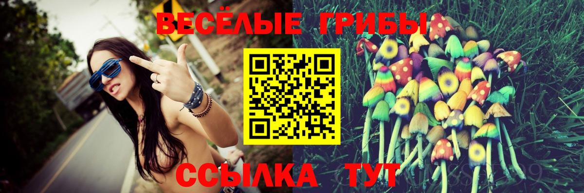 Псилоцибиновые грибы Magic Shrooms Вязьма
